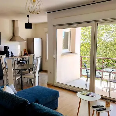 Avec Terrasse Et Parking Prive Appartement Le Mans