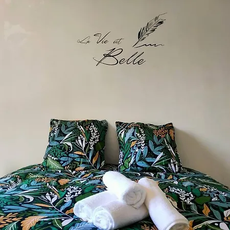 Avec Terrasse Et Parking Prive Λε Μανς