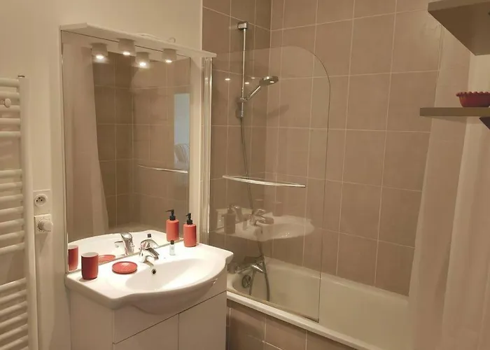 Avec Terrasse Et Parking Prive 公寓