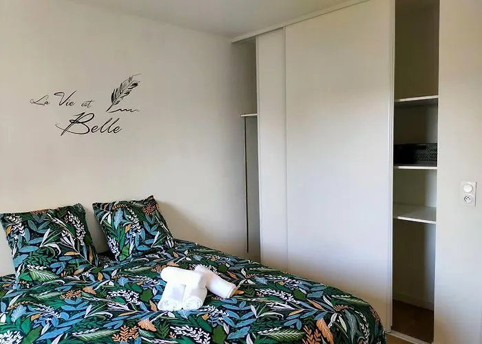 Avec Terrasse Et Parking Prive 公寓 *