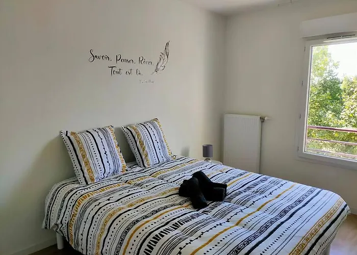 公寓 Avec Terrasse Et Parking Prive 勒芒